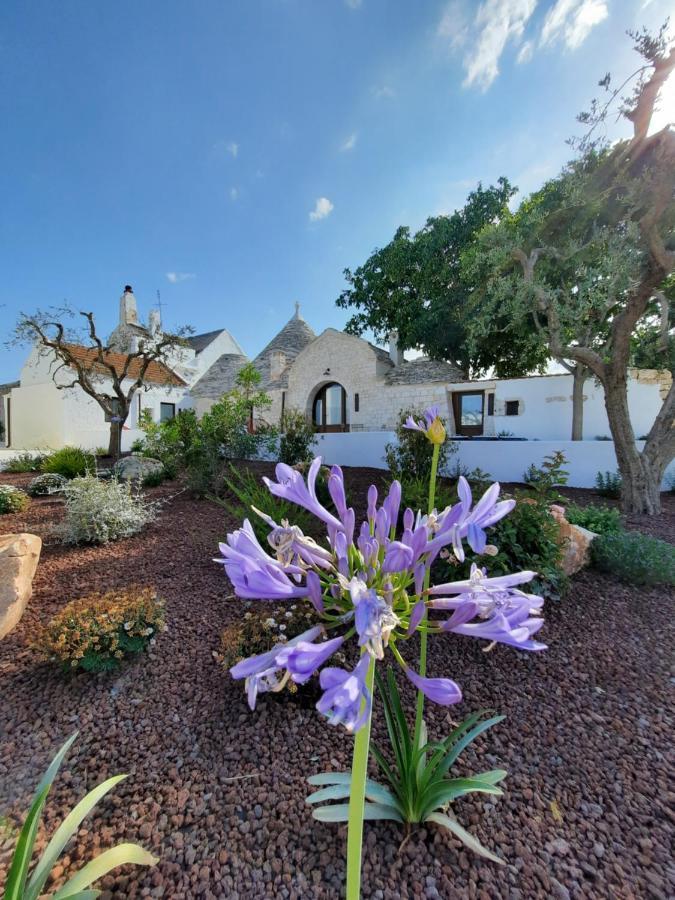 Borgo Santamarta Aparthotel โนซิ ภายนอก รูปภาพ